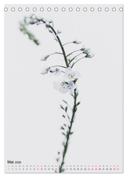 Produktbild: Pure Flowers (Tischkalender 2026 DIN A5 hoch), CALVENDO Monatskalender