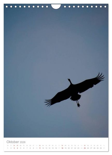 Produktbild: Der Flug der Kraniche (Wandkalender 2026 DIN A4 hoch), CALVENDO Monatskalender