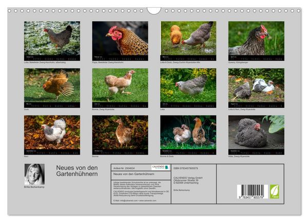 Produktbild: Neues von den Gartenh&uuml;hnern (Wandkalender 2026 DIN A3 quer), CALVENDO Monatskalender