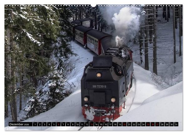 Produktbild: Schmalspurbahnen in Sachsen Anhalt (Wandkalender 2026 DIN A2 quer), CALVENDO Monatskalender