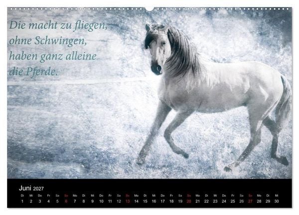 Produktbild: Pferde zum Tr&auml;umen (hochwertiger Premium Wandkalender 2027 DIN A2 quer), Kunstdruck in Hochglanz