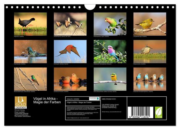 Produktbild: V&ouml;gel in Afrika - Magie der Farben (Wandkalender 2027 DIN A4 quer), CALVENDO Monatskalender