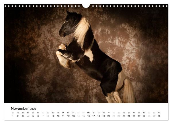 Produktbild: Pferde - Magdalena Strakova (Wandkalender 2026 DIN A3 quer), CALVENDO Monatskalender