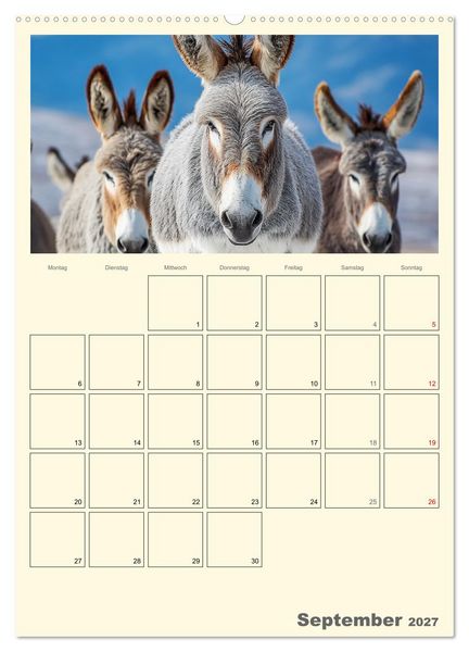 Produktbild: Eselmomente. Natur, Freiheit und Charakter (Wandkalender 2027 DIN A2 hoch), CALVENDO Monatskalender