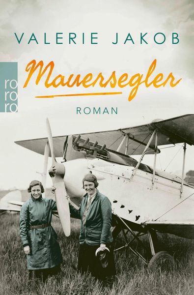 Produktbild: Mauersegler