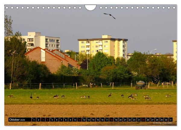 Produktbild: Hildener Bilderbogen 2026 (Wandkalender 2026 DIN A4 quer), CALVENDO Monatskalender