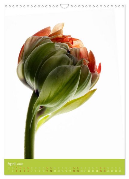 Produktbild: Nat&uuml;rlich Blumen. (Wandkalender 2026 DIN A3 hoch), CALVENDO Monatskalender