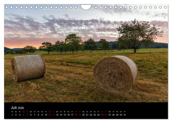 Produktbild: Sagenhafter Pf&auml;lzerwald (Wandkalender 2026 DIN A4 quer), CALVENDO Monatskalender