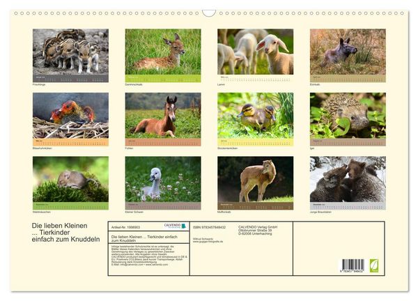 Produktbild: Die lieben Kleinen ... Tierkinder einfach zum Knuddeln (Wandkalender 2026 DIN A2 quer), CALVENDO Monatskalender