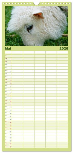 Produktbild: Familienplaner 2026 - Schafe mit 5 Spalten (Wandkalender, 21 x 45 cm) CALVENDO