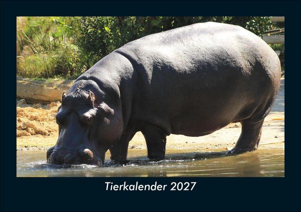 Produktbild: Tierkalender 2027 Fotokalender DIN A5