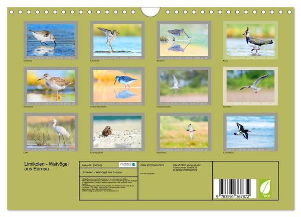 Produktbild: Limikolen - Watv&ouml;gel aus Europa (Wandkalender 2027 DIN A4 quer), CALVENDO Monatskalender