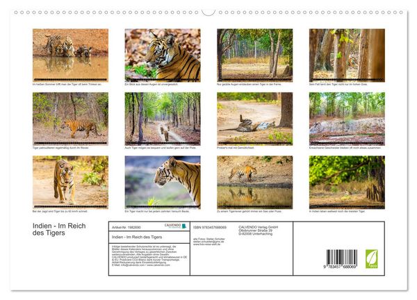 Produktbild: Indien - Im Reich des Tigers (hochwertiger Premium Wandkalender 2026 DIN A2 quer), Kunstdruck in Hochglanz