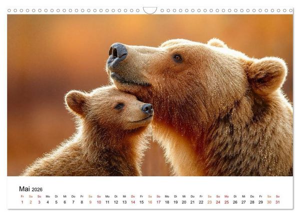 Produktbild: B&auml;ren - Die Macht der Natur (Wandkalender 2026 DIN A3 quer), CALVENDO Monatskalender