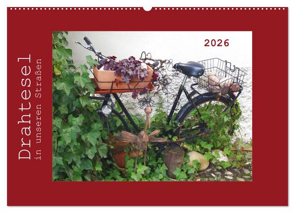Drahtesel in unseren Straßen (Wandkalender 2026 DIN A2 quer), CALVENDO Monatskalender
