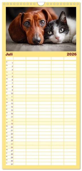 Produktbild: Familienplaner 2026 - Hund und Katze - Tierische Freunde mit 5 Spalten (Wandkalender, 21 x 45 cm) CALVENDO