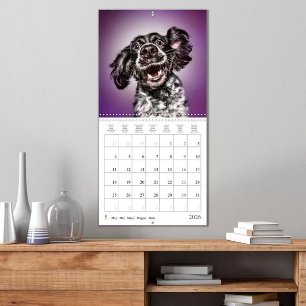 Produktbild: Funny Dog Faces (Wall Calendar 2026 12 &times; 12 Inch) CALVENDO 12 Month Wall Calendar