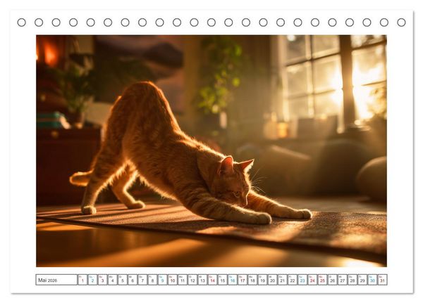 Produktbild: Miau mit Stil (Tischkalender 2026 DIN A5 quer), CALVENDO Monatskalender