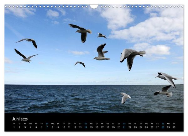 Produktbild: Ostseestrand Graal-M&uuml;ritz (Wandkalender 2026 DIN A3 quer), CALVENDO Monatskalender