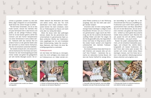 Produktbild: Wie wir Katzen gl&uuml;cklich machen