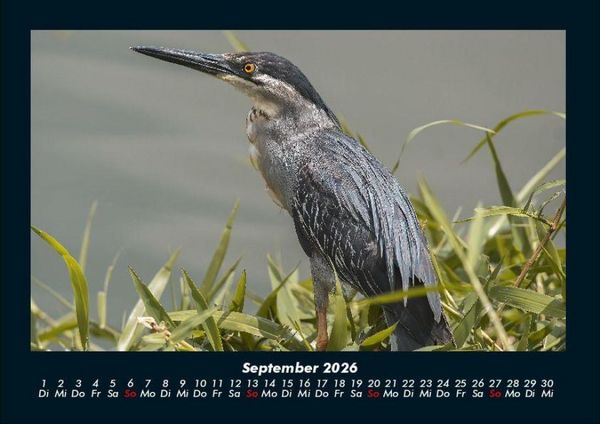Produktbild: Natur 2026 Fotokalender DIN A4