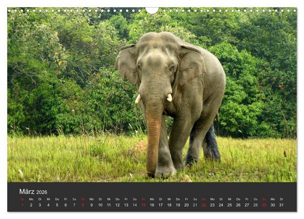 Produktbild: Thailand - exotisch und faszinierend (Wandkalender 2026 DIN A3 quer), CALVENDO Monatskalender