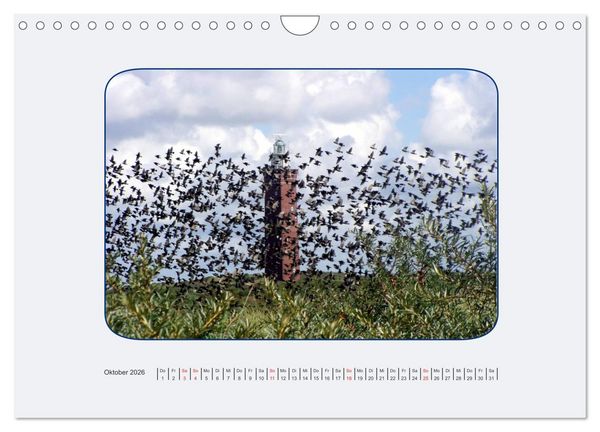 Produktbild: Ouddorp Spezial / Bilder von einer holl&auml;ndischen Nordseeinsel (Wandkalender 2026 DIN A4 quer), CALVENDO Monatskalender
