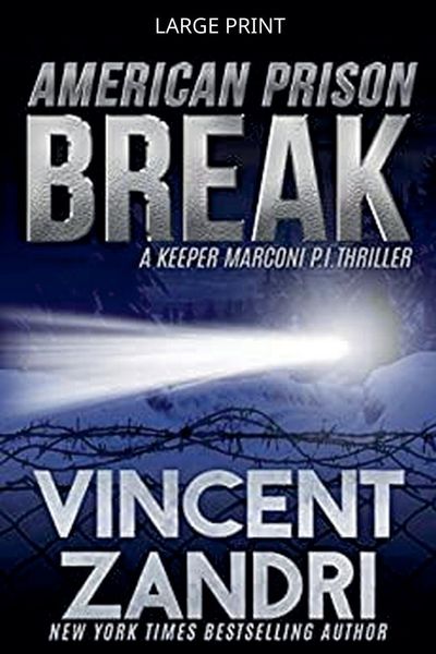 Produktbild: American Prison Break