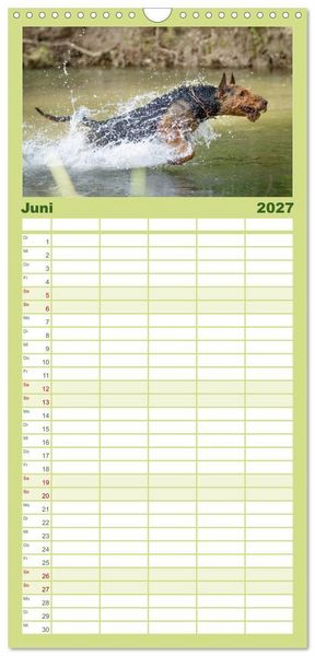Produktbild: Familienplaner 2027 - Airedale-Terrier, was sonst! mit 5 Spalten (Wandkalender, 21 x 45 cm) CALVENDO