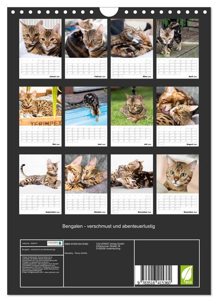 Produktbild: Bengalen - verschmust und abenteuerlustig (Wandkalender 2026 DIN A4 hoch), CALVENDO Monatskalender