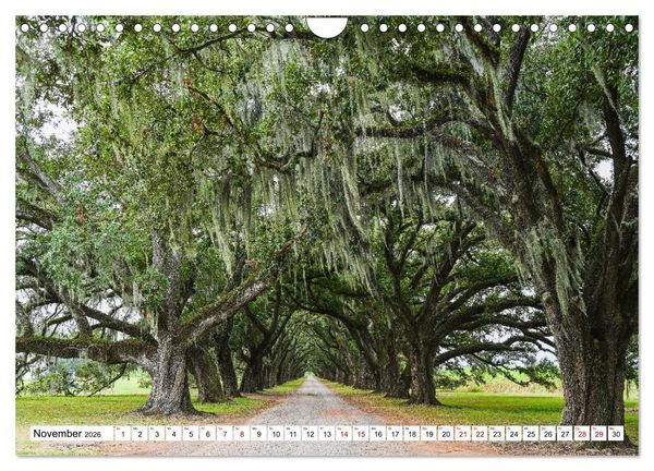 Produktbild: Louisiana - S&uuml;mpfe und Plantagenh&auml;user (Wandkalender 2026 DIN A4 quer), CALVENDO Monatskalender