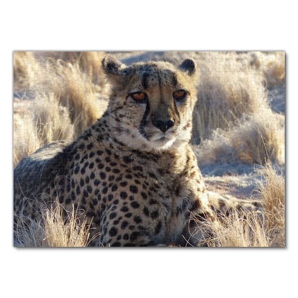 Produktbild: Lais Puzzle Gepard 500 Teile
