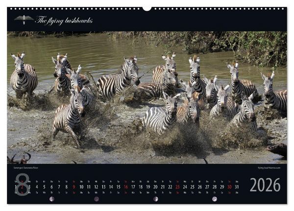 Produktbild: Tansania Blickwinkel 2026 (Wandkalender 2026 DIN A2 quer), CALVENDO Monatskalender