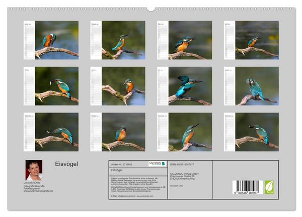 Produktbild: Eisv&ouml;gel (hochwertiger Premium Wandkalender 2026 DIN A2 quer), Kunstdruck in Hochglanz
