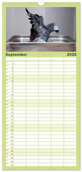 Produktbild: Familienplaner 2026 - Graupapageien zum Verlieben mit 5 Spalten (Wandkalender, 21 x 45 cm) CALVENDO