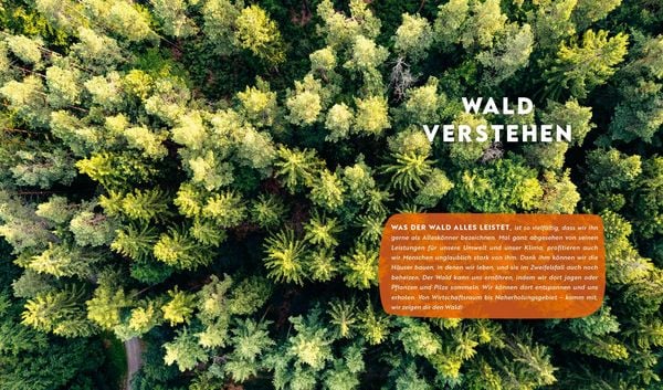 Produktbild: Forst erkl&auml;rt: Warum wir den Wald brauchen &ndash; und er uns