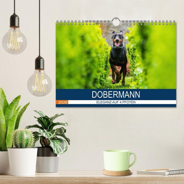 Produktbild: Dobermann 2026 (Wandkalender 2026 DIN A4 quer), CALVENDO Monatskalender