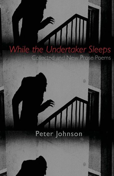 Produktbild: While the Undertaker Sleeps
