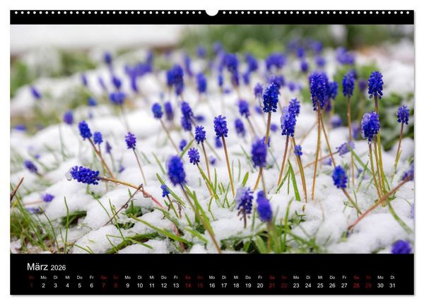 Produktbild: Naturwunder Norddeutschlands (hochwertiger Premium Wandkalender 2026 DIN A2 quer), Kunstdruck in Hochglanz