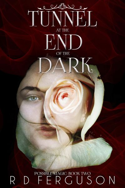 Produktbild: Tunnel at the End of the Dark (Possible Magic, #2)