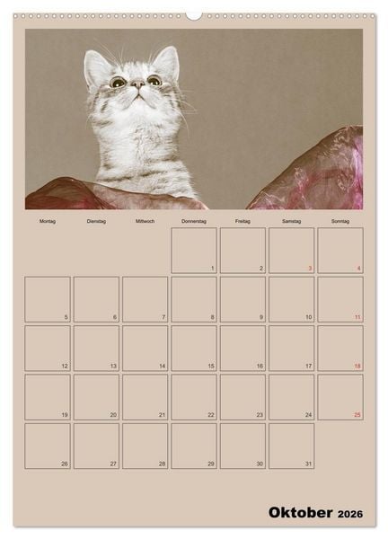 Produktbild: Mit Katzen durchs Jahr / Planer (hochwertiger Premium Wandkalender 2026 DIN A2 hoch), Kunstdruck in Hochglanz