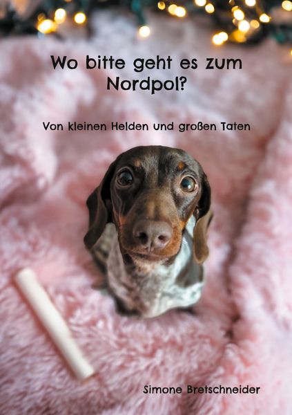 Produktbild: Wo bitte geht es zum Nordpol?