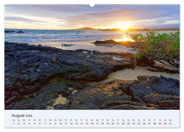 Produktbild: Entdecke Galapagos (Wandkalender 2026 DIN A2 quer), CALVENDO Monatskalender