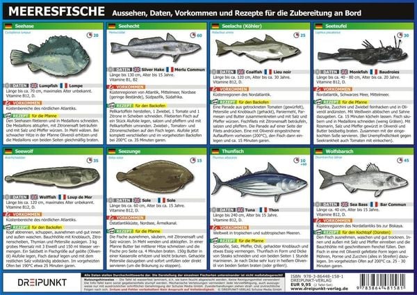 Produktbild: Info-Tafel-Set Meeresfische