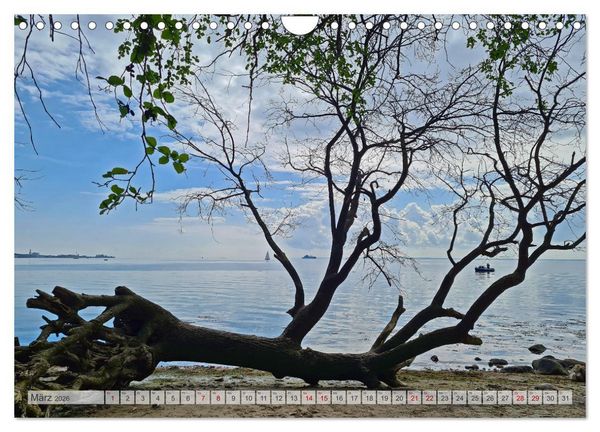 Produktbild: Timmendorfer Strand und Umgebung (Wandkalender 2026 DIN A4 quer), CALVENDO Monatskalender