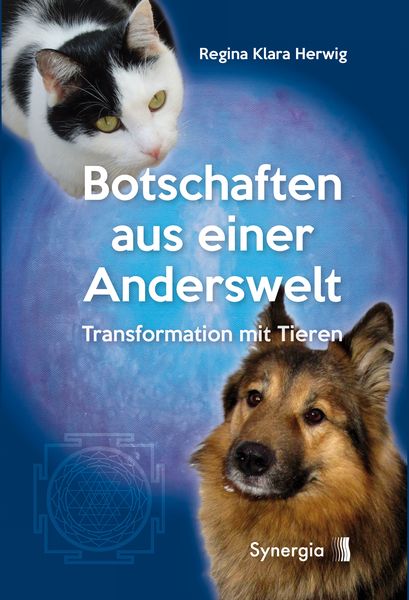 Produktbild: Botschaften aus einer Anderswelt