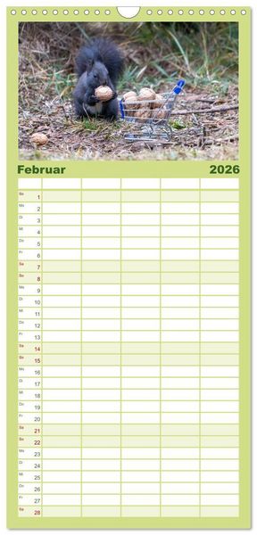 Produktbild: Familienplaner 2026 - Eichh&ouml;rnchenliebe mit 5 Spalten (Wandkalender, 21 x 45 cm) CALVENDO