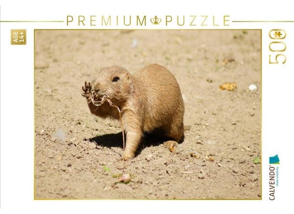 CALVENDO Puzzle Gib Fünf | 500 Teile Lege-Größe 48 × 36 cm Foto-Puzzle für Erwachsene
