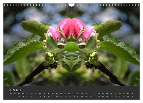 Produktbild: Spiegelwelten - Im Reich der Naturwesen (Wandkalender 2026 DIN A3 quer), CALVENDO Monatskalender