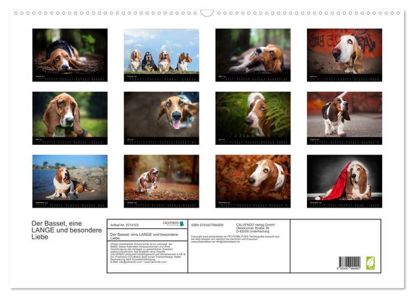 Produktbild: Der Basset, eine LANGE und besondere Liebe (Wandkalender 2026 DIN A2 quer), CALVENDO Monatskalender